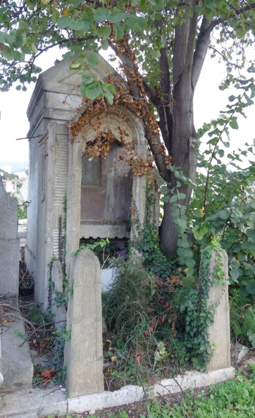 sauvons-tombes-concession-abandonnee-fin