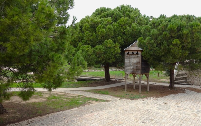 Des pigeonniers… pour réduire la population de cet oiseau 3