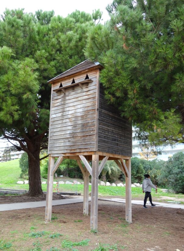 pigeonniers-regulation-pigeon-ville