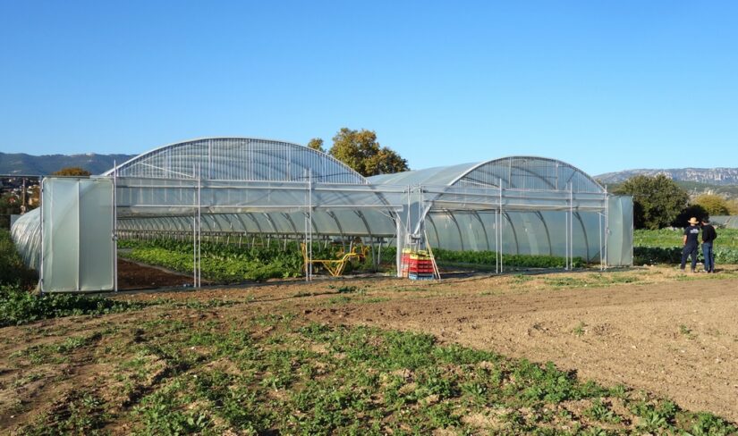 potager-regie-agricole-plan-cuques