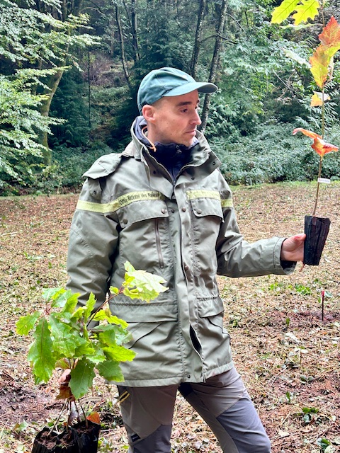 Dix ans de mécénat Martell pour un arboretum du Limousin 1