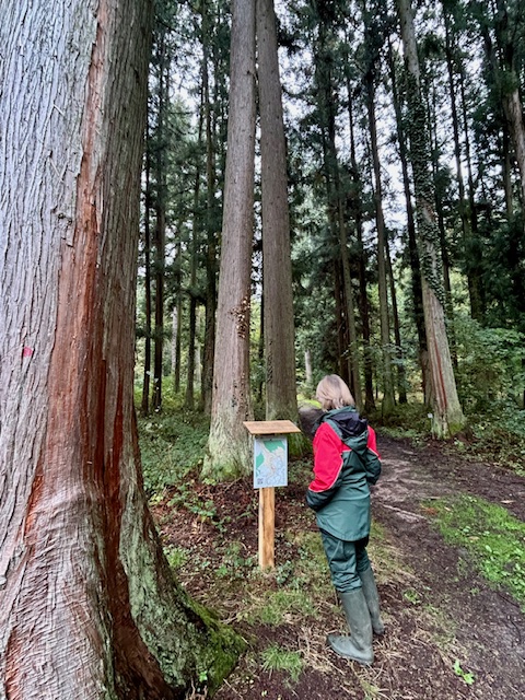 Dix ans de mécénat Martell pour un arboretum du Limousin 2