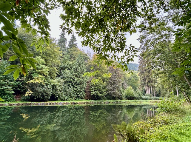 Dix ans de mécénat Martell pour un arboretum du Limousin 3