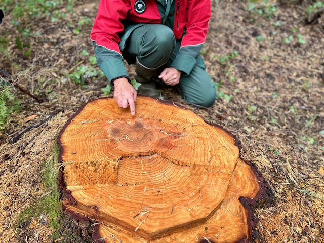 Dix ans de mécénat Martell pour un arboretum du Limousin 4