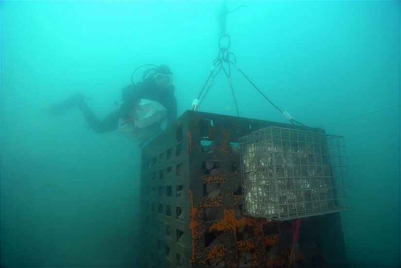 casier-laitier-arcelormittal-recif-artificiel-leucate