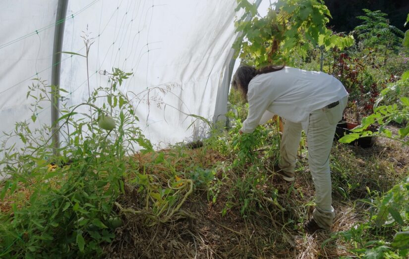 cols-verts-association-benevolat-provence