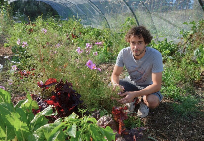 ferme-urbaine-solidarite-la-ciotat