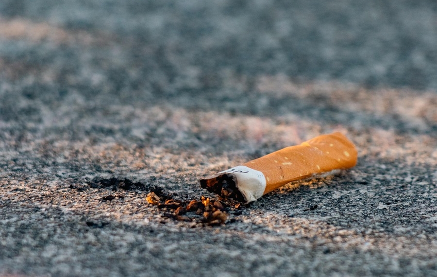 what happens if you smoke too many cigarettes Smoking a pack a day for a year causes 150 mutations in lung cells