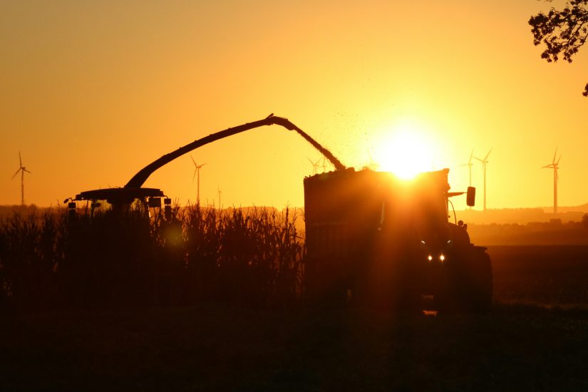 robustesse agroécologie agriculture