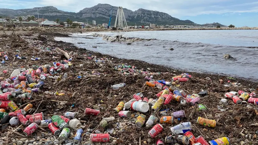 Grâce à l’enquête, le collectif a pu réaliser un premier état des lieux sur la propreté des rues, des parcs et jardins ainsi que des plages.