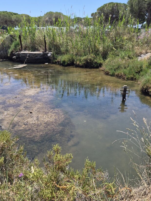 recherche-lagune-etang-berre-var