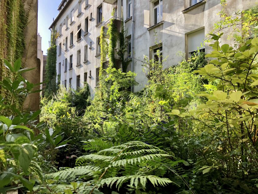 Jungle intérieure nantes