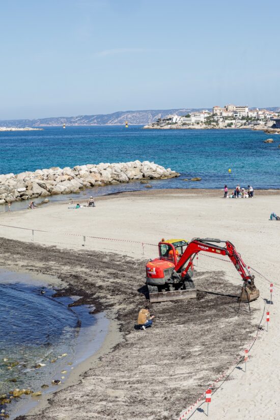 mille-feuille-posidonie-plage-marseille