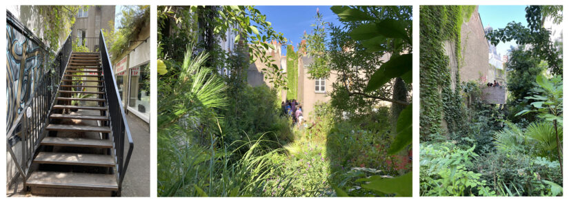 belvédère Jungle Intérieure