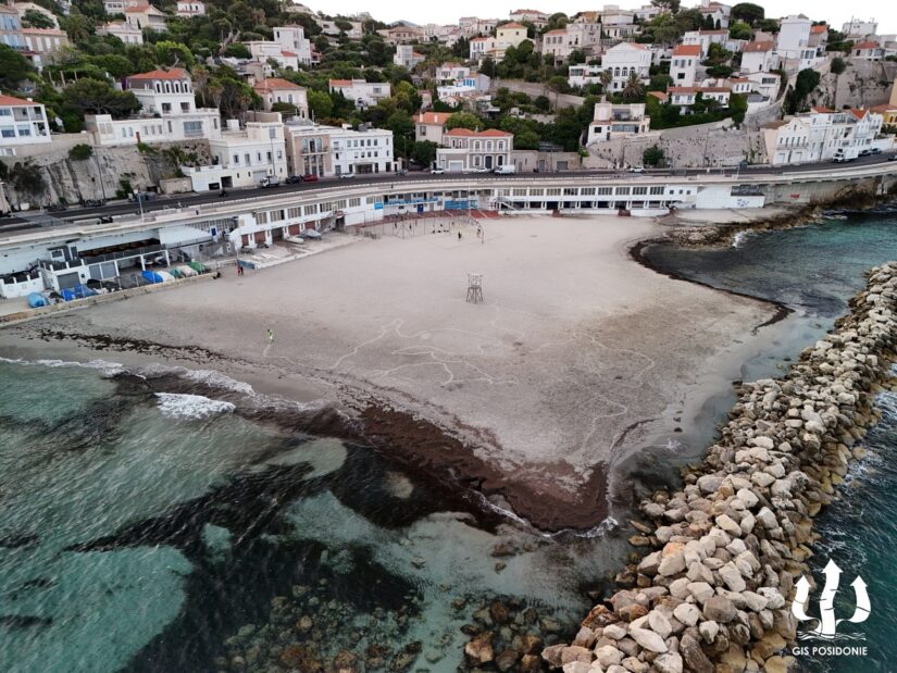 plage-prophete-posidonie